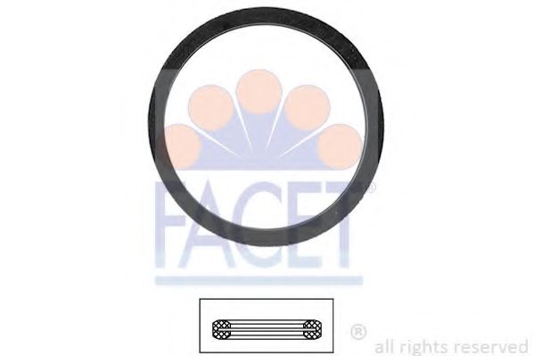 Уплотнительное кольцо термостата Renault Symbol ii 1.4 (08-14) (7.9568) Facet фото1