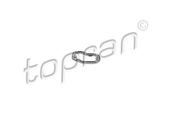 Уплотняющее кольцо, сетчатый масляный фильтр  арт. 109661 фото1